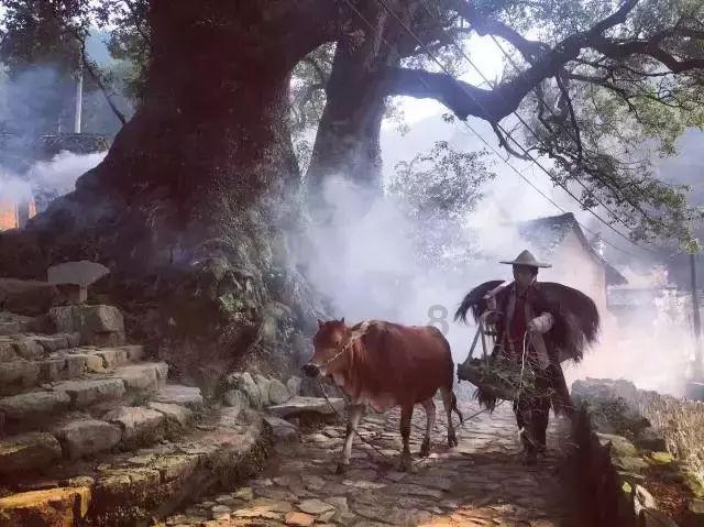 天命奇御