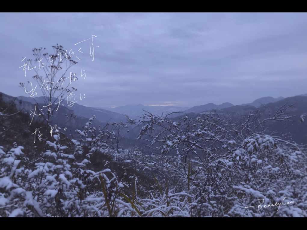 判断全部-探索你感兴趣的话题