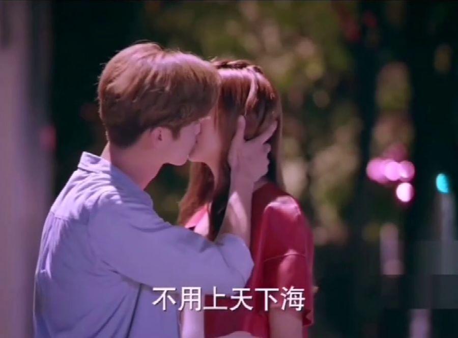 解救金刚鹦鹉