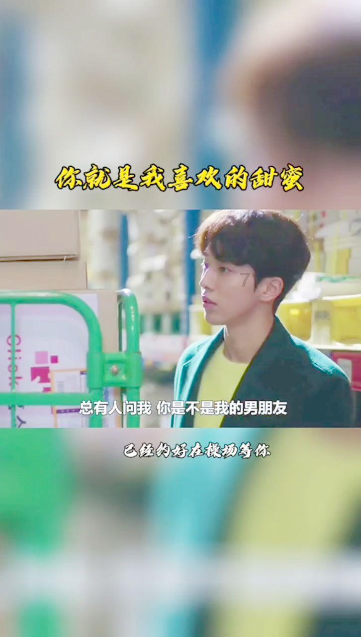 奥日与精灵意志