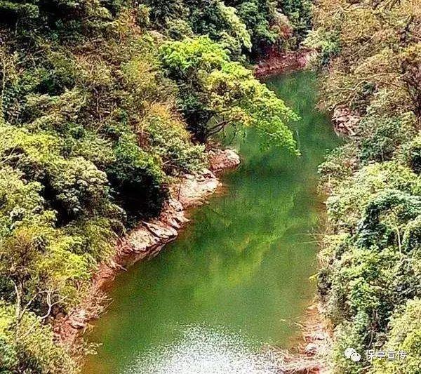 想预测未来，知道自己的寿命长短？记住这4个指标，关乎寿命健康