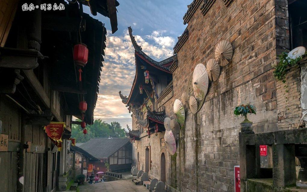 绿萝怎么养才能更旺盛?知识星球-汇聚专业知识,探索更多可能
