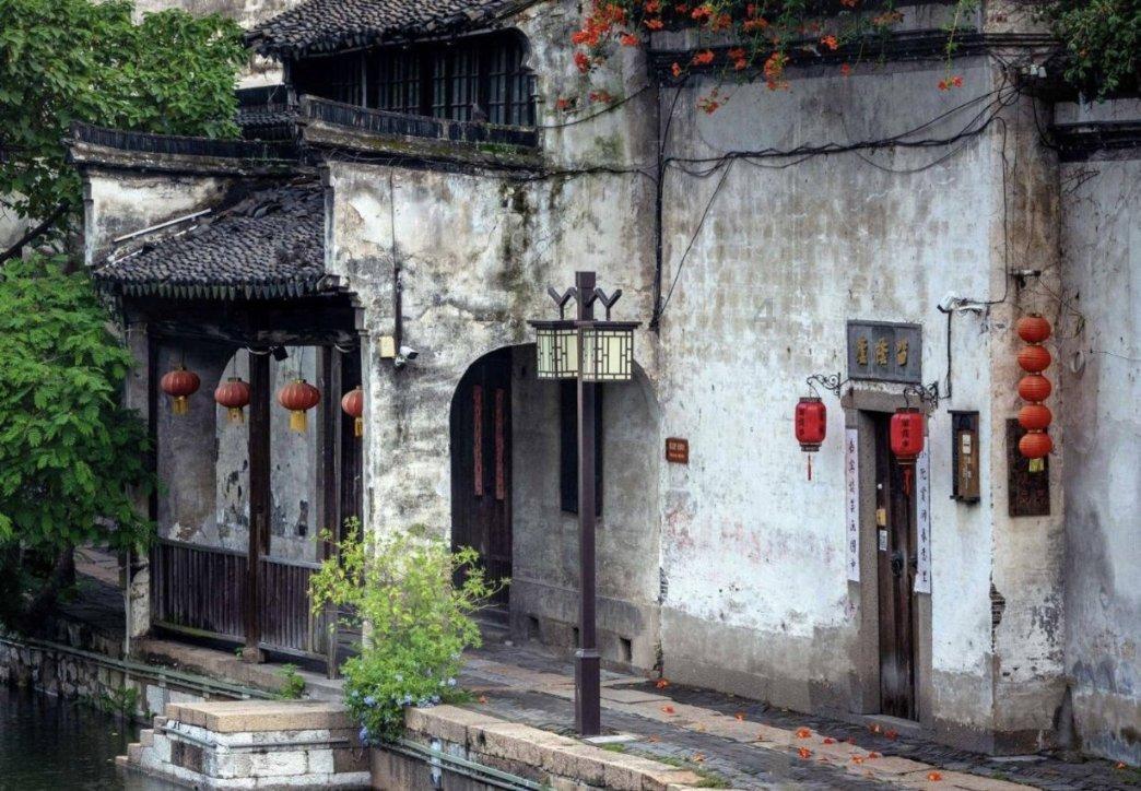 羊肚菌上市冬日采收忙