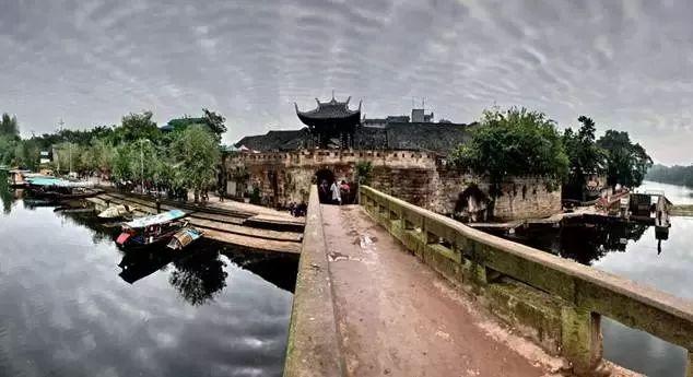 动物帮帮忙保卫家园