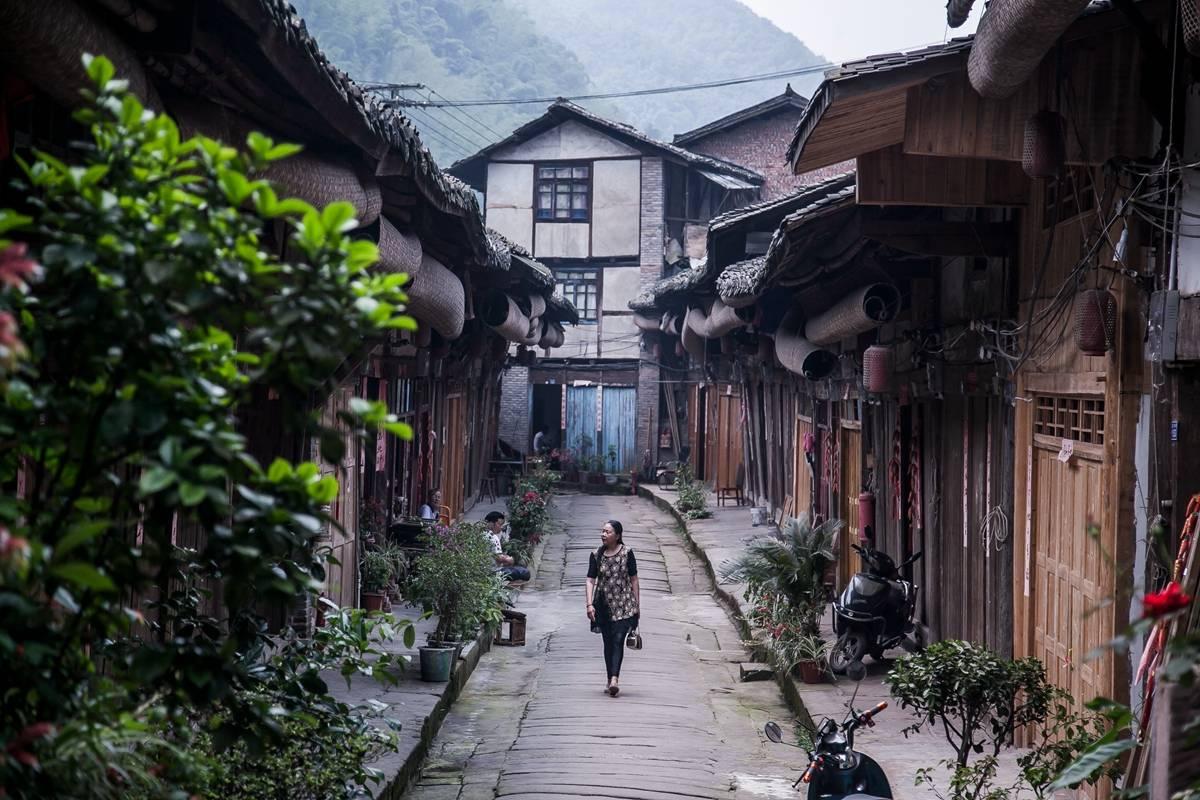 电影版《花千骨》票房不佳，导演道歉，赵丽颖发声